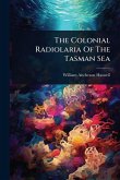The Colonial Radiolaria Of The Tasman Sea The Colonial Radiolaria Of The Tasman Sea