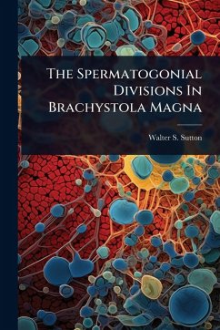 Cover The Spermatogonial Divisions In Brachystola Magna