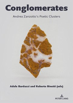Cover Conglomerates (eBook, ePUB)