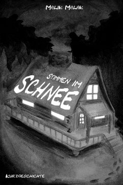 Cover Stimmen im Schnee (eBook, ePUB)