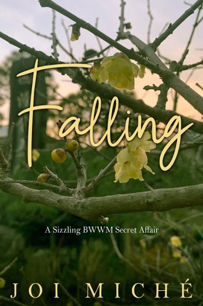 Falling (eBook, ePUB)