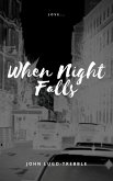 When Night Falls (eBook, ePUB)