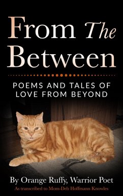 From The Between (eBook, ePUB) - Knowles, Debra Hoffmann