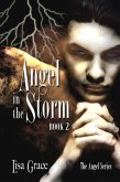 Angel in the Storm, Book 2 by Lisa Grace (Angel Series) (eBook, ePUB)