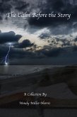 The Calm Before the Story (eBook, ePUB)