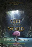 Drysau Ceudodol - Book Two: Gift from Another World (The Drysau Ceudodol Trilogy, #2) (eBook, ePUB)