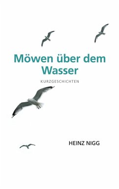 Möwen über dem Wasser (eBook, ePUB)