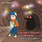 COLTON'S POCKET DRAGON Book 13