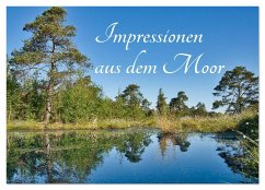 Impressionen aus dem Moor (Wandkalender 2026 DIN A4 quer), CALVENDO Monatskalender