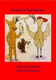 Mystery at Spring Lake (eBook, ePUB)