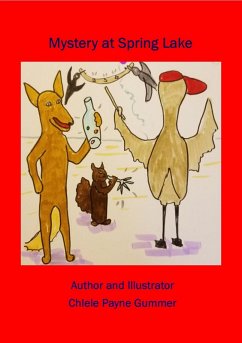 Cover Mystery at Spring Lake (eBook, ePUB)