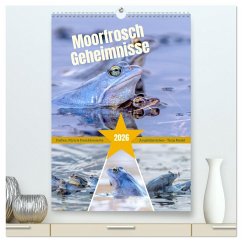 Moorfrosch Geheimnisse - Farben, Flirts & Froschkonzerte - Tanja Riedel (hochwertiger Premium Wandkalender 2026 DIN A2 hoch), Kunstdruck in Hochglanz