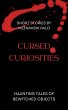 Cursed Curiosities-Haunting Tales of... - Bild 1