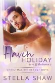 Haven Holiday, Love at the Haven 7 (eBook, ePUB)