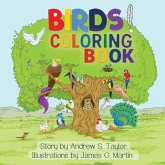 Birds! Birds!