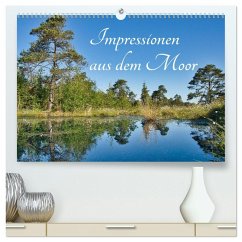Cover Impressionen aus dem Moor (hochwertiger Premium Wandkalender 2026 DIN A2 quer), Kunstdruck in Hochglanz