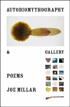 Autobiomythography & Gallery (eBook, ePUB) - Pan, Joe