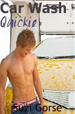 Car Wash Quickie (eBook, ePUB) Car Wash Quickie (eBook, ePUB)