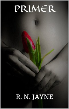 Primer (eBook, ePUB) - Jayne, R. N.