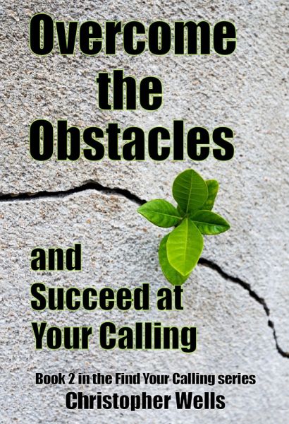 Overcome the Obstacles and Succeed at Your Calling (Find Your Calling, #2) (eBook, ePUB)