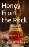 Honey From the Rock: Poetry Inspired by the Psalms (eBook, ePUB)