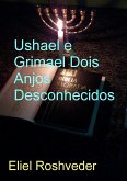 Ushael e Grimael Dois Anjos Desconhecidos (Anjos da Cabala, #27) (eBook, ePUB)