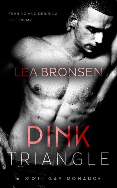 Pink Triangle (Pink Triangle Norway, #1) (eBook, ePUB)