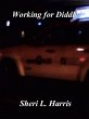 Working For Diddly (eBook, ePUB) - Bild 1