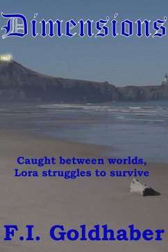 Dimensions (eBook, ePUB) - Goldhaber, F. I.