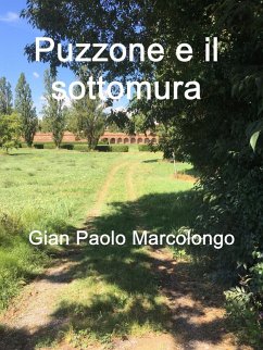 Cover Puzzone e il sottomura (eBook, ePUB)