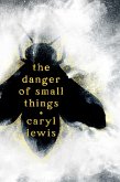 The Danger of Small Things (eBook, ePUB)