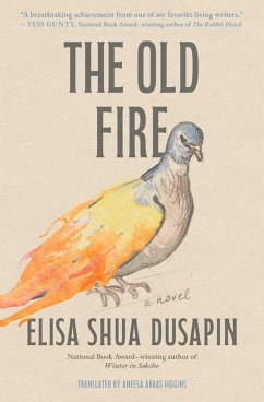 Cover The Old Fire (eBook, ePUB)