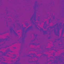 Cover Acid Guru Pond (Reissue 2025)