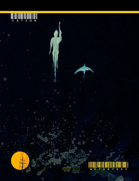 Cation (eBook, ePUB)