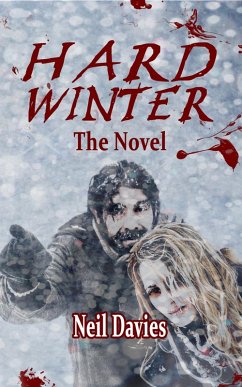 Hard Winter: The Novel (eBook, ePUB) - Neil Davies