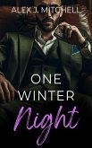 One Winter Night (eBook, ePUB)