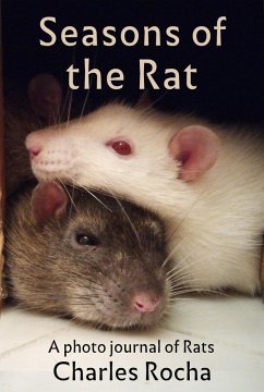 Cover Seasons of the Rat (eBook, ePUB)