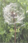 Wish (eBook, ePUB)