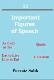 22 Important Figures of Speech (eBook, ePUB)