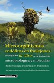 Microorganismos endófitos en frailejones propagados in vitro: caracterización microbiológica y molecular. (eBook, ePUB) Microorganismos endófitos en frailejones propagados in vitro: caracterización microbiológica y molecular. (eBook, ePUB)
