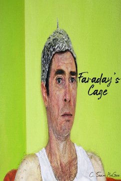 Cover Faraday`s Cage (eBook, ePUB)