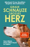 Graue Schnauze, großes Herz   (Mängelexemplar)