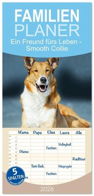 Cover Familienplaner 2026 - Ein Freund fürs Leben - Smooth Collie mit 5 Spalten (Wandkalender, 21 x 45 cm) CALVENDO