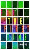For the First Time (eBook, ePUB) For the First Time (eBook, ePUB)