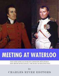 Cover Meeting at Waterloo (eBook, ePUB)