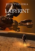 Labyrint (Corianuv svet, #3) (eBook, ePUB) Labyrint (Corianuv svet, #3) (eBook, ePUB)