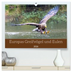 Europas Greifvögel und Eulen (hochwertiger Premium Wandkalender 2026 DIN A2 quer), Kunstdruck in Hochglanz