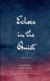 Echoes in the Quiet