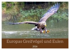 Europas Greifvögel und Eulen (Tischkalender 2026 DIN A5 quer), CALVENDO Monatskalender
