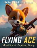 Flying Ace Flying Ace